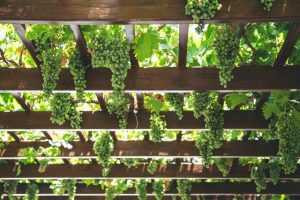 Mooie houten prieel in tuin met zithoek en overkapping als ideale 2 in 1 oplossing